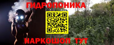 круглые Краснознаменск