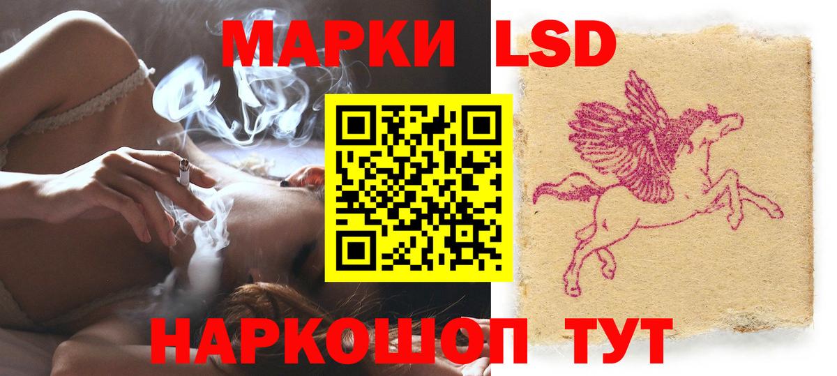 А ПВП Лесной