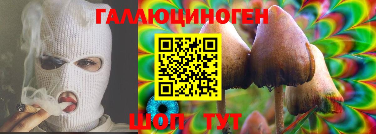 Псилоцибиновые грибы MAGIC MUSHROOMS  Вход с VPN  Псилоцибиновые грибы ЛСД  Лесной 