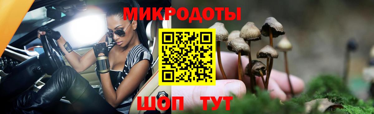 Галлюциногенные грибы Psilocybine cubensis Лесной